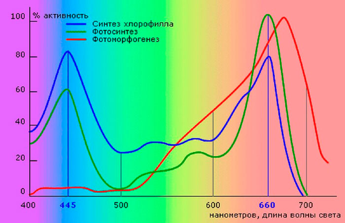 Марихуана и спектры